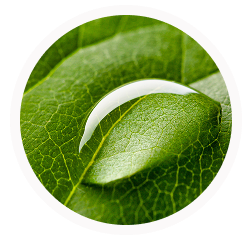 Environmental Accountability